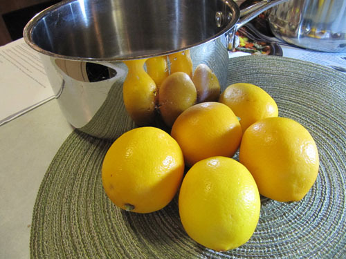 meyer lemon and cardamom ice milk