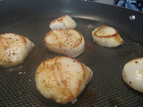 scallops