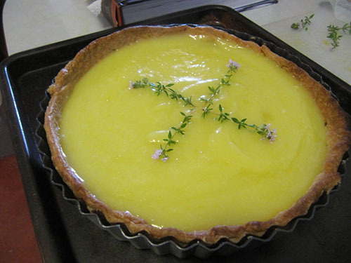 Lemon Curd and Olive Oil Tart