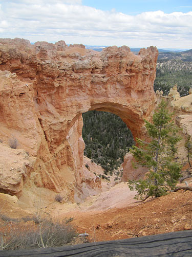 Bryce canyon