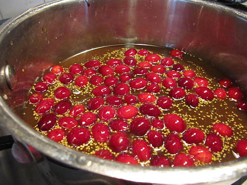 Cranberry Molasses Glazed Turkey