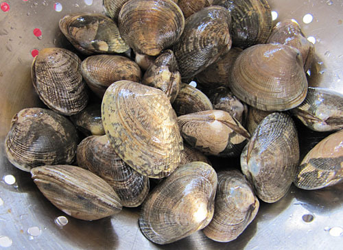 Miso Ginger Clam Chowder