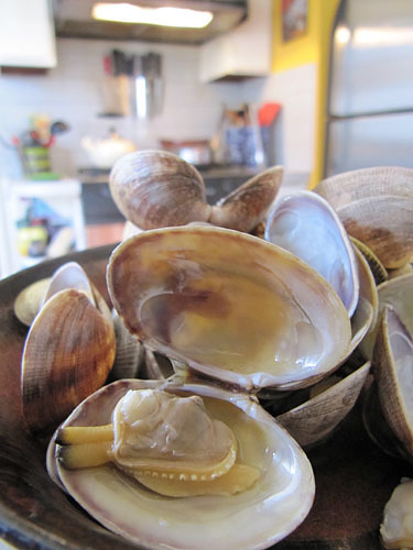 Miso Ginger Clam Chowder