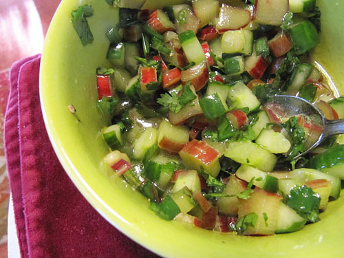 Spicy Chicken with Rhubarb Cucumber Salsa