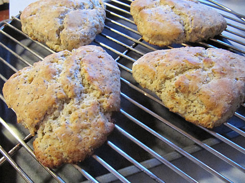 Lemon Poppy Seed Scones