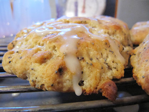 Lemon Poppy Seed Scones