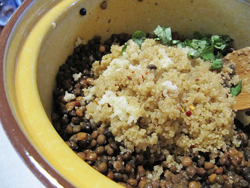 Quinoa & Lentil Stuffed Portobellos