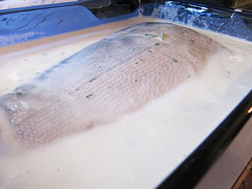 Herb and Buttermilk Salmon