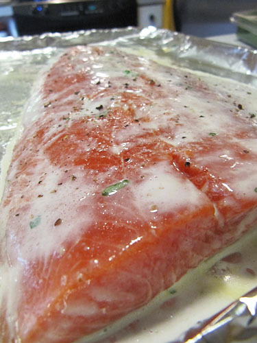 Herb and Buttermilk Salmon