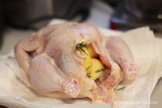 Ninja Cooking System: Lemon Chicken with Rosemary – Fennel*Twist