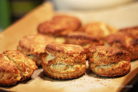 Wheat Germ and Herb Biscuits