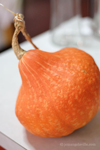 Roasted Red Kuri Squash Soup with Coconut