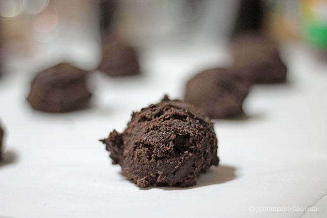 Christmas Cookies: Double Chocolate Peppermint Cookies