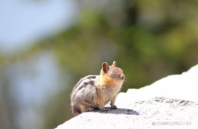 Central Oregon Travel: Bend & Crater Lake National Park