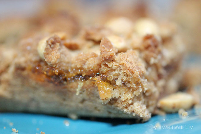 Salted Peanut Butter and Orange Marmalade Bars