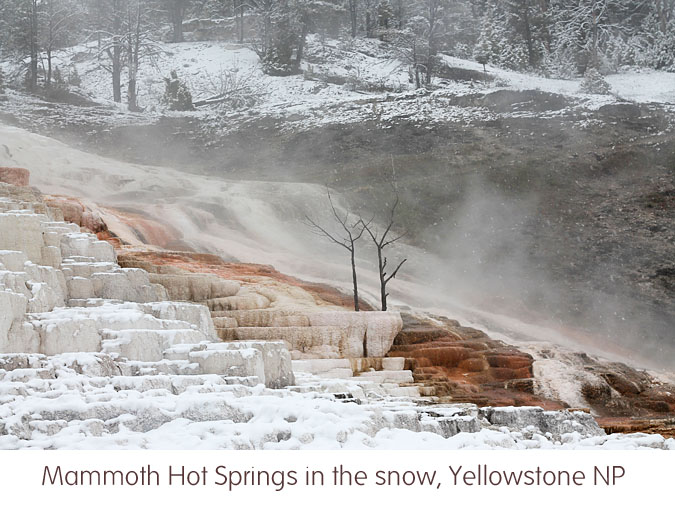 Mammoth Hotsprings