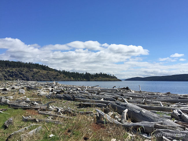 Lopez Island, Washington