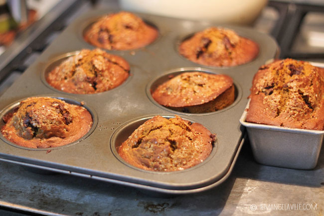 Pumpkin Chocolate Chip Muffins