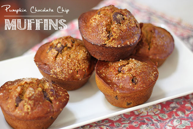 Pumpkin Chocolate Chip Muffins